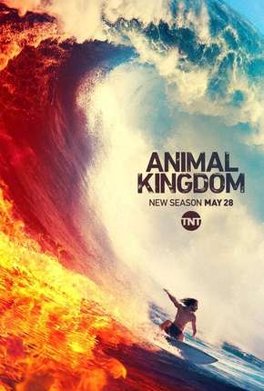 Série Animal Kingdom - 4ª Temporada Legendada 