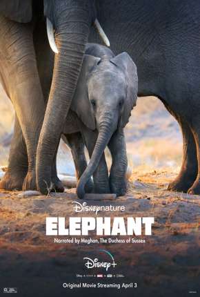 Filme Elefante - Legendado 