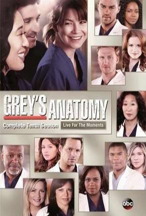 Série Greys Anatomy - 10ª Temporada - Completa Dublada / Dual Áudio