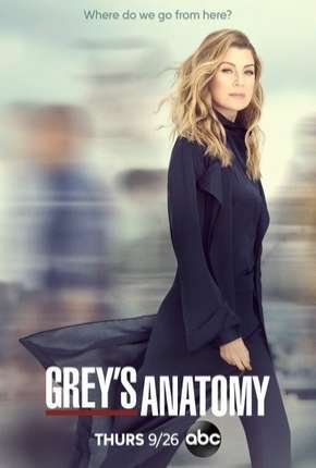 Série A Anatomia de Grey - Greys Anatomy - 16ª Temporada Dublada / Dual Áudio