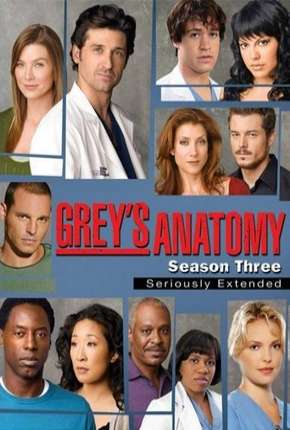 Série Greys Anatomy - 3ª Temporada - Completa Dublada / Dual Áudio