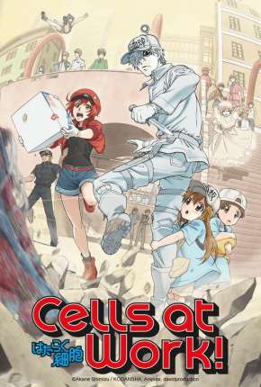 Anime Hataraku Saibou - Cells at Work Legendado