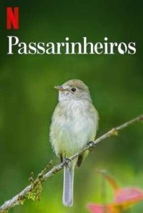 Filme Passarinheiros - Birders Dublado / Dual Áudio