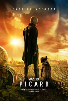 Série Star Trek - Picard - 1ª Temporada Dublada / Dual Áudio