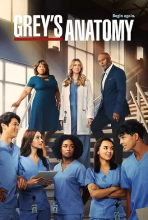 Série Greys Anatomy - 19ª Temporada Dublada / Dual Áudio