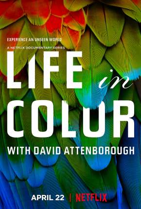 Série A Vida em Cores com David Attenborough - 1ª Temporada Completa Dublada / Dual Áudio