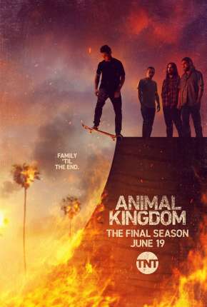 Série Animal Kingdom - 5ª Temporada Legendada 