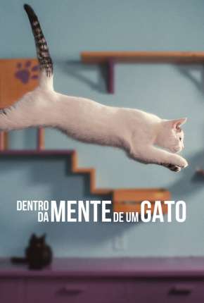 Filme Dentro da Mente de um Gato - Legendado 