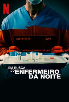 Filme Em Busca do Enfermeiro da Noite Dublado / Dual Áudio