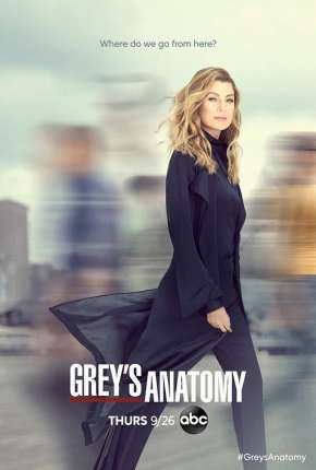 Série Greys Anatomy - 16ª Temporada Dublada / Dual Áudio