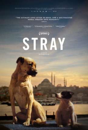 Filme Stray - 2021 Legendado 