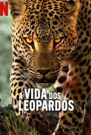 Filme A Vida dos Leopardos Dublado / Dual Áudio