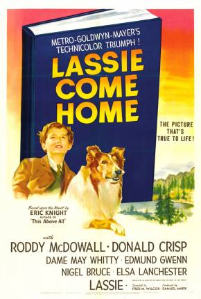 Filme Lassie - A Força do Coração Dublado / Dual Áudio